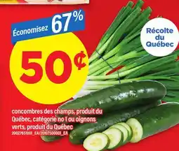 Maxi CONCOMBRES DES CHAMPS OU OIGNONS VERTS offer