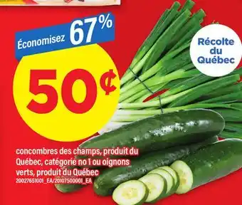 Maxi CONCOMBRES DES CHAMPS OU OIGNONS VERTS offer