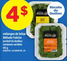 Maxi MÉLANGES DE LAITUE ATTITUDE FRAÎCHE, 142 g offer