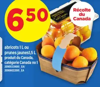 Maxi ABRICOTS 1 L OU PRUNES JAUNES1,5 L offer
