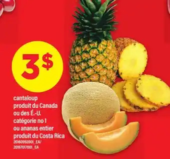 Maxi CANTALOUP offer