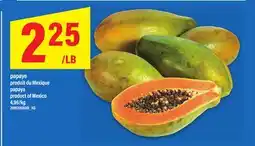 Maxi PAPAYE | papaya offer