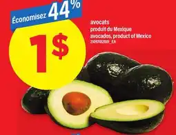 Maxi AVOCATS offer