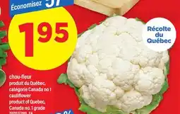 Maxi CHOU-FLEUR offer