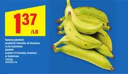 Maxi BANANE PLANTAIN offer