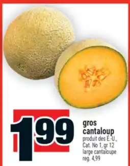 Super C GROS CANTALOUP | LARGE CANTALOUPE offer