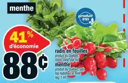 Super C radis en feuilles ou menthe | top radishes or mint offer
