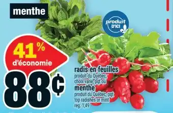 Super C radis en feuilles ou menthe | top radishes or mint offer