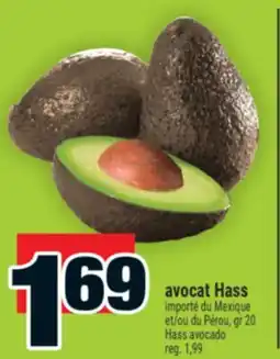 Super C avocat Hass | Hass avocado offer