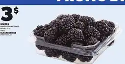Provigo BLACKBERRIES, 170 G offer