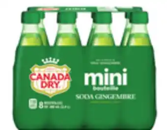 Provigo CANADA DRY , 8X300 ML offer