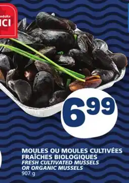 Marché Bonichoix FRESH CULTIVATED MUSSELS OR ORGANIC MUSSELS offer