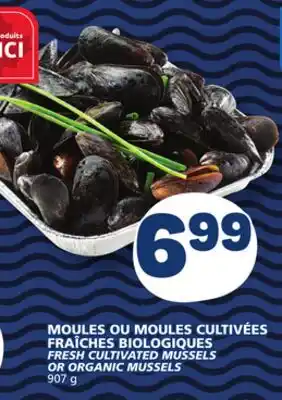 Marché Bonichoix FRESH CULTIVATED MUSSELS OR ORGANIC MUSSELS offer