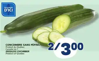Marché Bonichoix SEEDLESS CUCUMBER offer