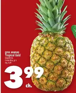 Marche Ami GROS ANANAS TROPICAL GOLD offer