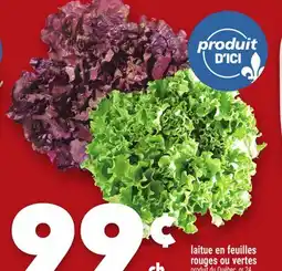 Marche Ami LAITUE EN FEUILLES ROUGES OU VERTES offer