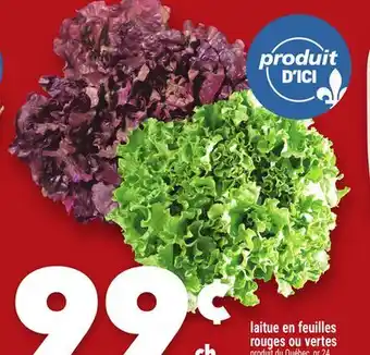 Marche Ami LAITUE EN FEUILLES ROUGES OU VERTES offer