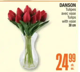 Jean Coutu DANSON Tulips with vase offer