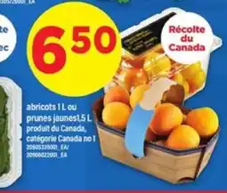 Maxi Abricots ou prunes jaunes offer