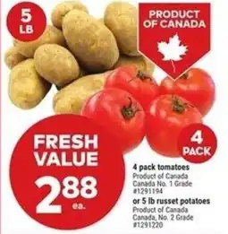 Giant Tiger Tomatoes or russet potatoes offer