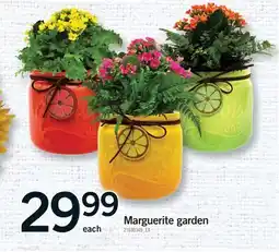 Fortinos MARGUERITE GARDEN offer