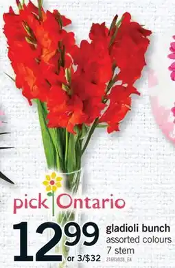 Fortinos GLADIOLI BUNCH, 7 stem offer