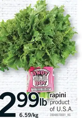 Fortinos RAPINI offer