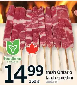 Fortinos FRESH ONTARIO LAMB SPIEDINI, 250 G offer