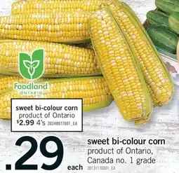 Fortinos SWEET BI-COLOUR CORN offer