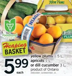 Fortinos YELLOW PLUMS 1.5 L, APRICOTS 1 L OR DILL CUCUMBER 3 L offer