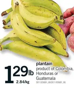 Fortinos PLANTAIN offer