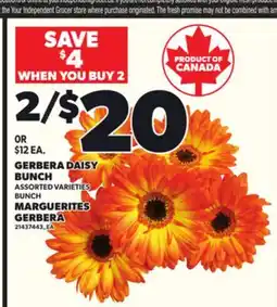 Independent Grocer GERBERA DAISY BUNCH offer