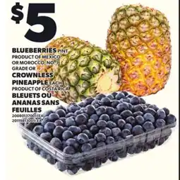 Independent Grocer BLUEBERRIES PINT OR CROWNLESS PINEAPPLE offer
