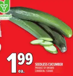 Metro SEEDLESS CUCUMBER offer