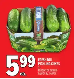 Metro FRESH DILL PICKLING CUKES offer