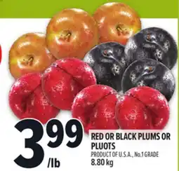 Metro RED OR BLACK PLUMS OR PLUOTS offer