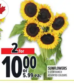 Metro SUNFLOWERS offer
