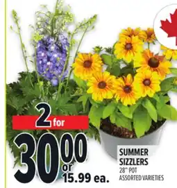 Metro SUMMER SIZZLERS offer