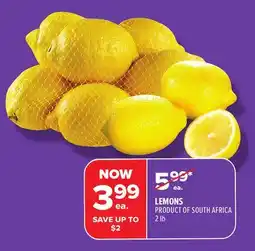 Metro LEMONS offer
