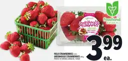 Metro FIELD STRAWBERRIES offer