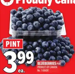 Metro BLUEBERRIES PINT offer