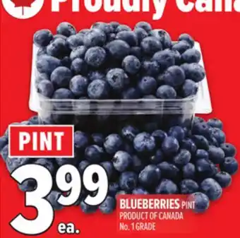 Metro BLUEBERRIES PINT offer