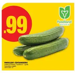 No Frills ENGLISH CUCUMBERS offer