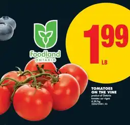 No Frills TOMATOES ON THE VINE offer