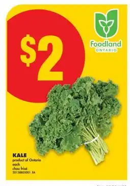 No Frills KALE offer