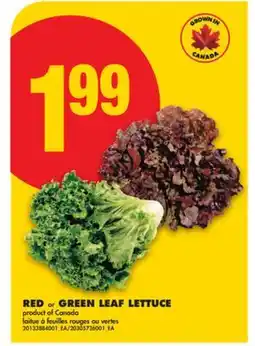 No Frills RED or GREEN LEAF LETTUCE offer
