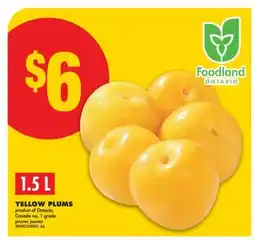 No Frills YELLOW PLUMS offer