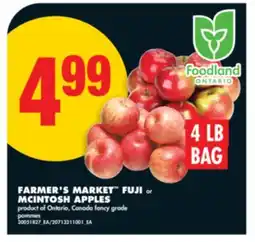 No Frills FARMER'S MARKET FUJI or MCINTOSH APPLES, 4 LB BAG offer