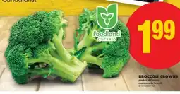 No Frills BROCCOLI CROWNS offer