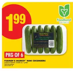 No Frills FARMER'S MARKET MINI CUCUMBERS, PKG OF 6 offer